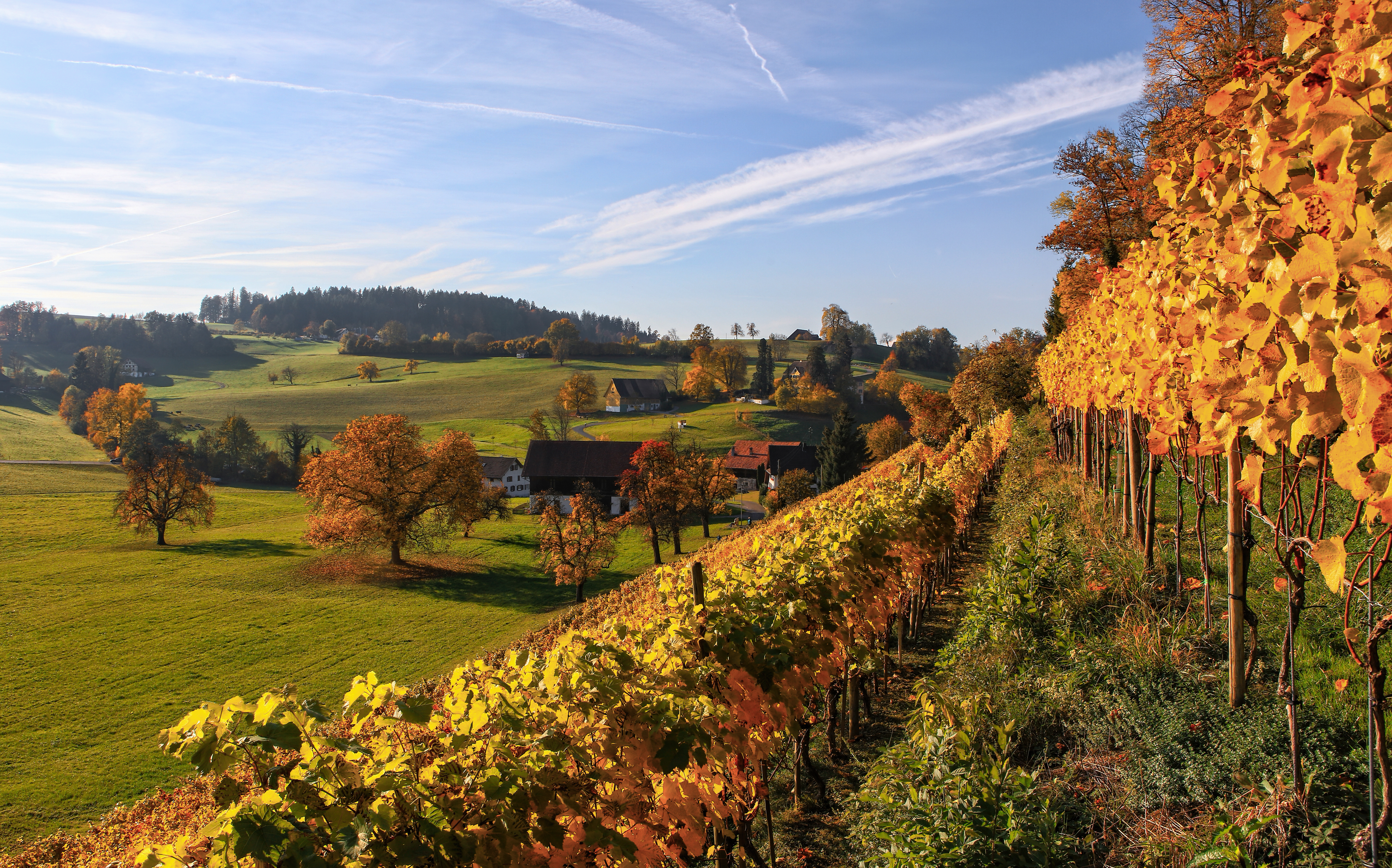 Arbois